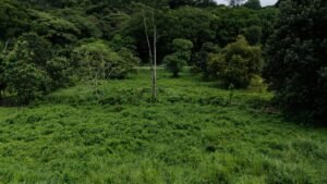 Foto 9-11-24, 10 14 31 a. m.